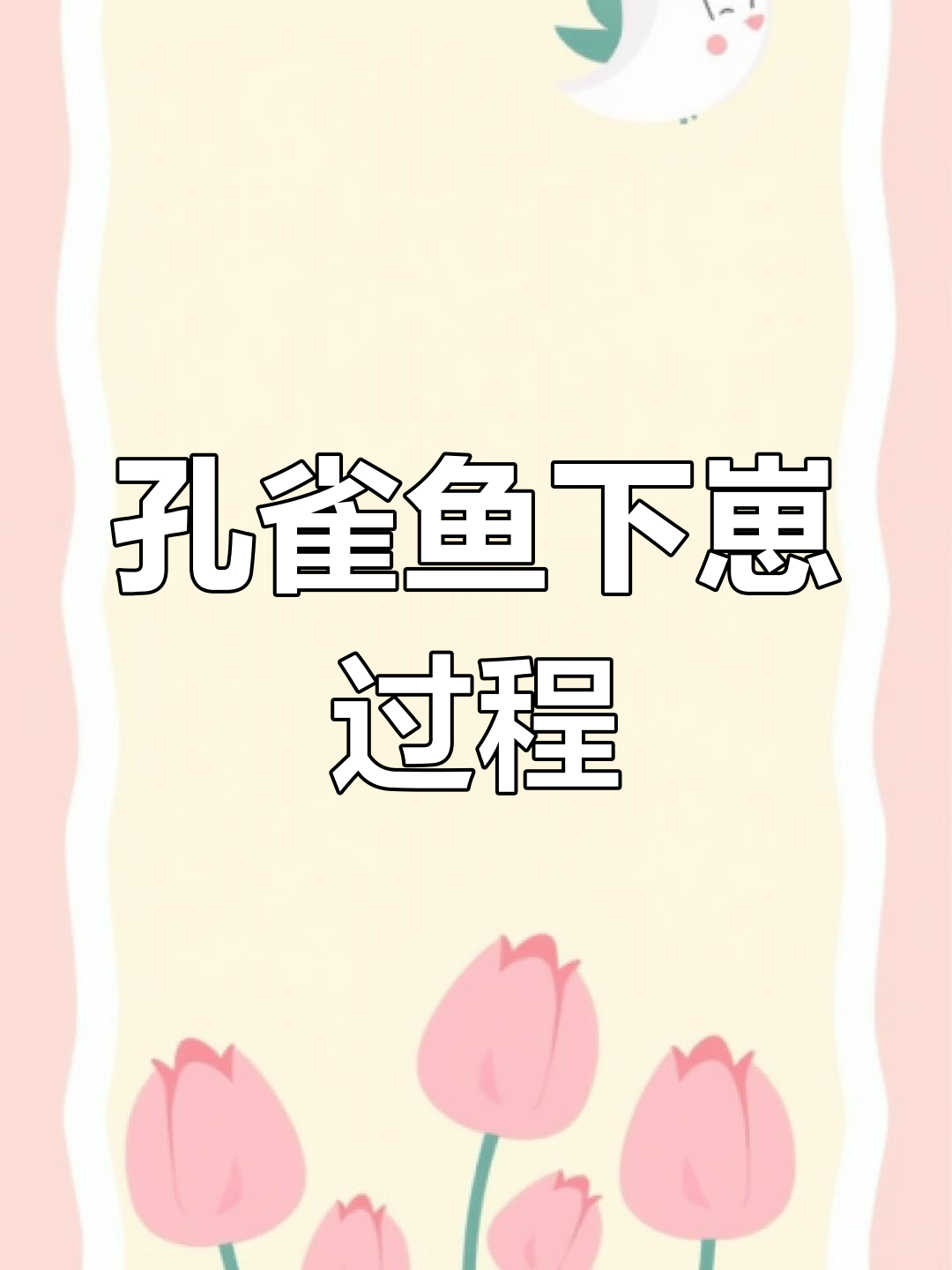 孔雀鱼繁殖全过程揭秘