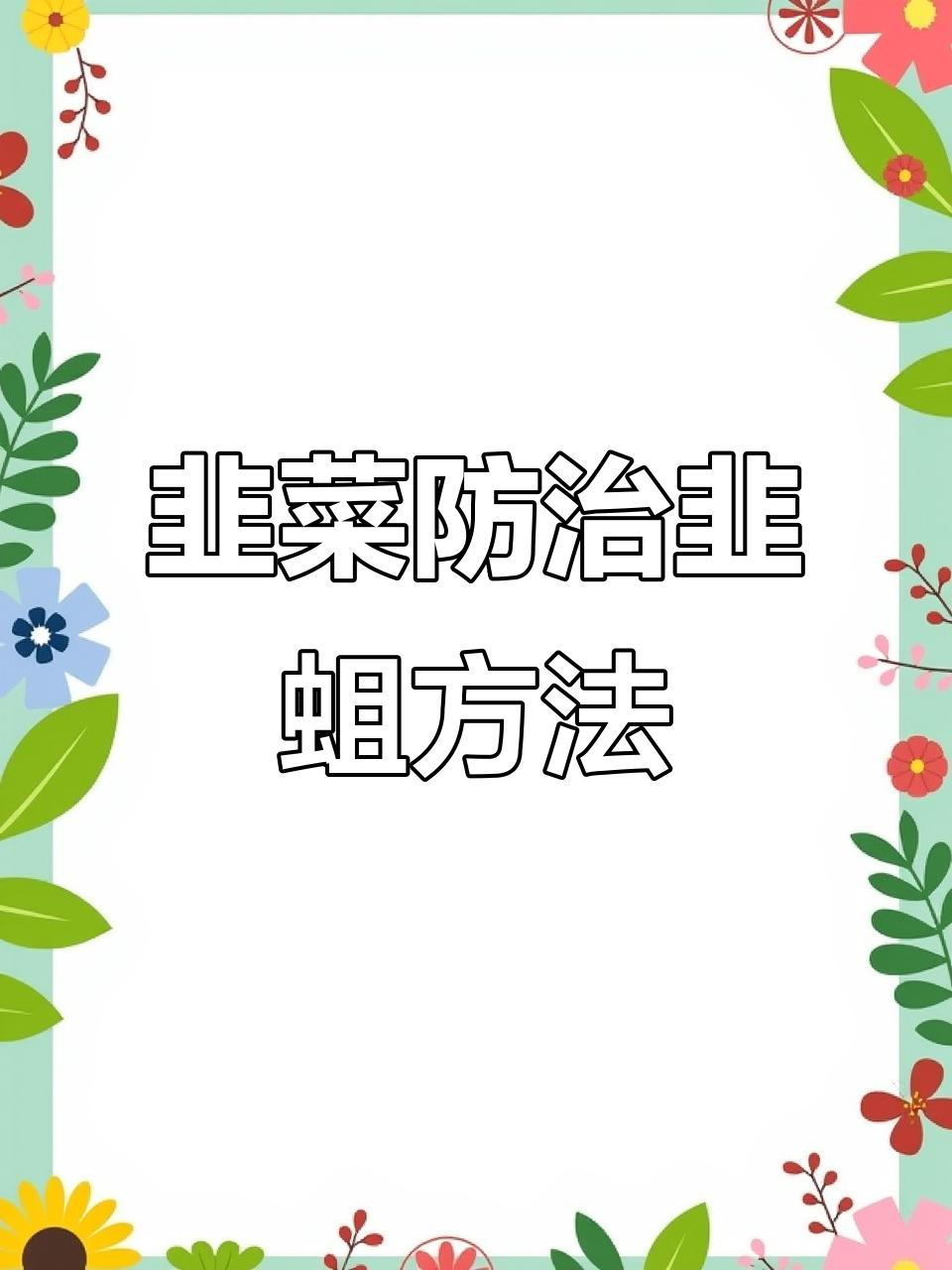 韭菜种植防韭蛆技巧:轮作、施肥与管理的关键措施