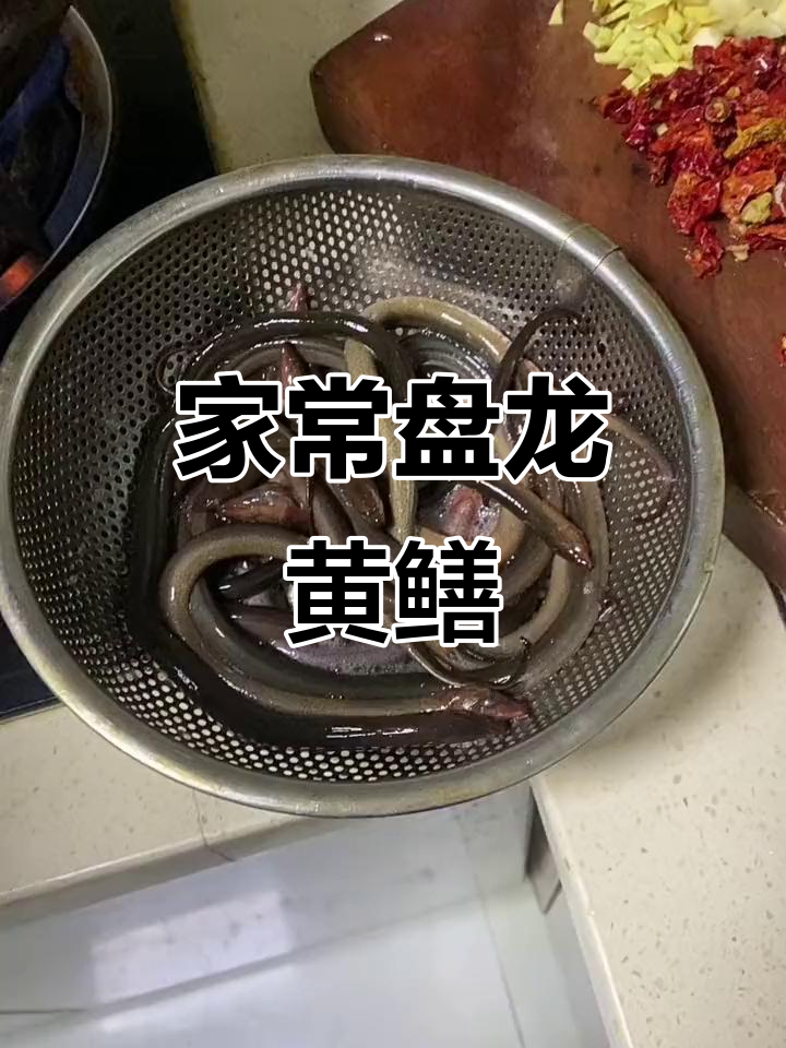 盘龙黄鳝家常做法,姜蒜辣椒一网打尽