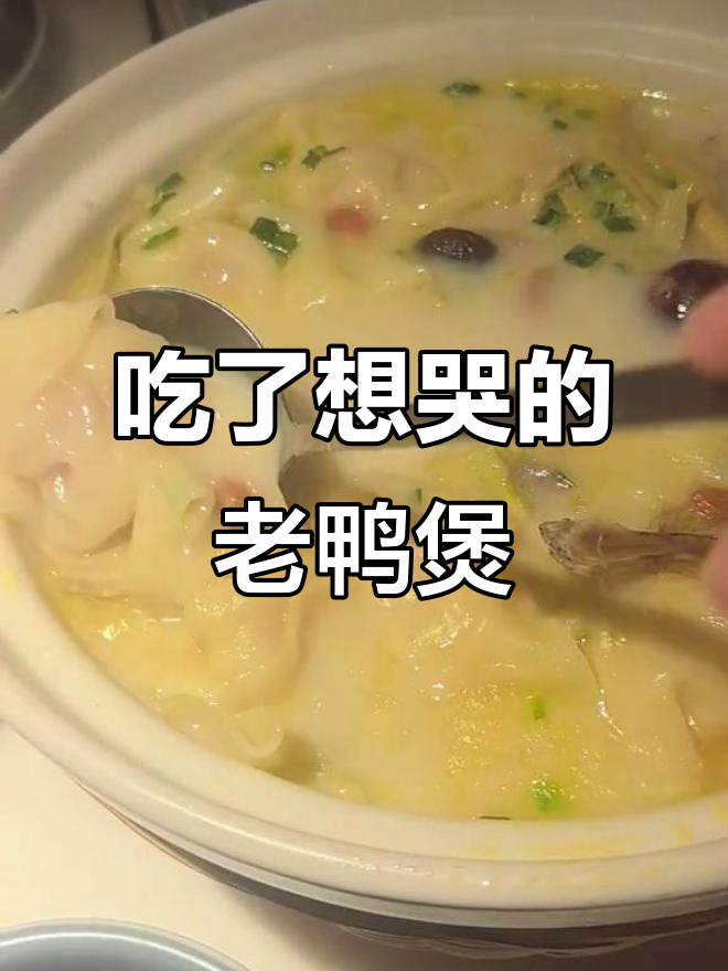 这碗老鸭煲,吃上一口就停不下来!馄饨和虾仁的完美搭配