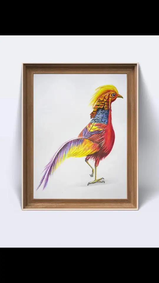 简单易学的红腹锦鸡画法 彩铅 零基础教学 彩铅画 彩铅画画入门教程 简单易学的红腹锦鸡画法