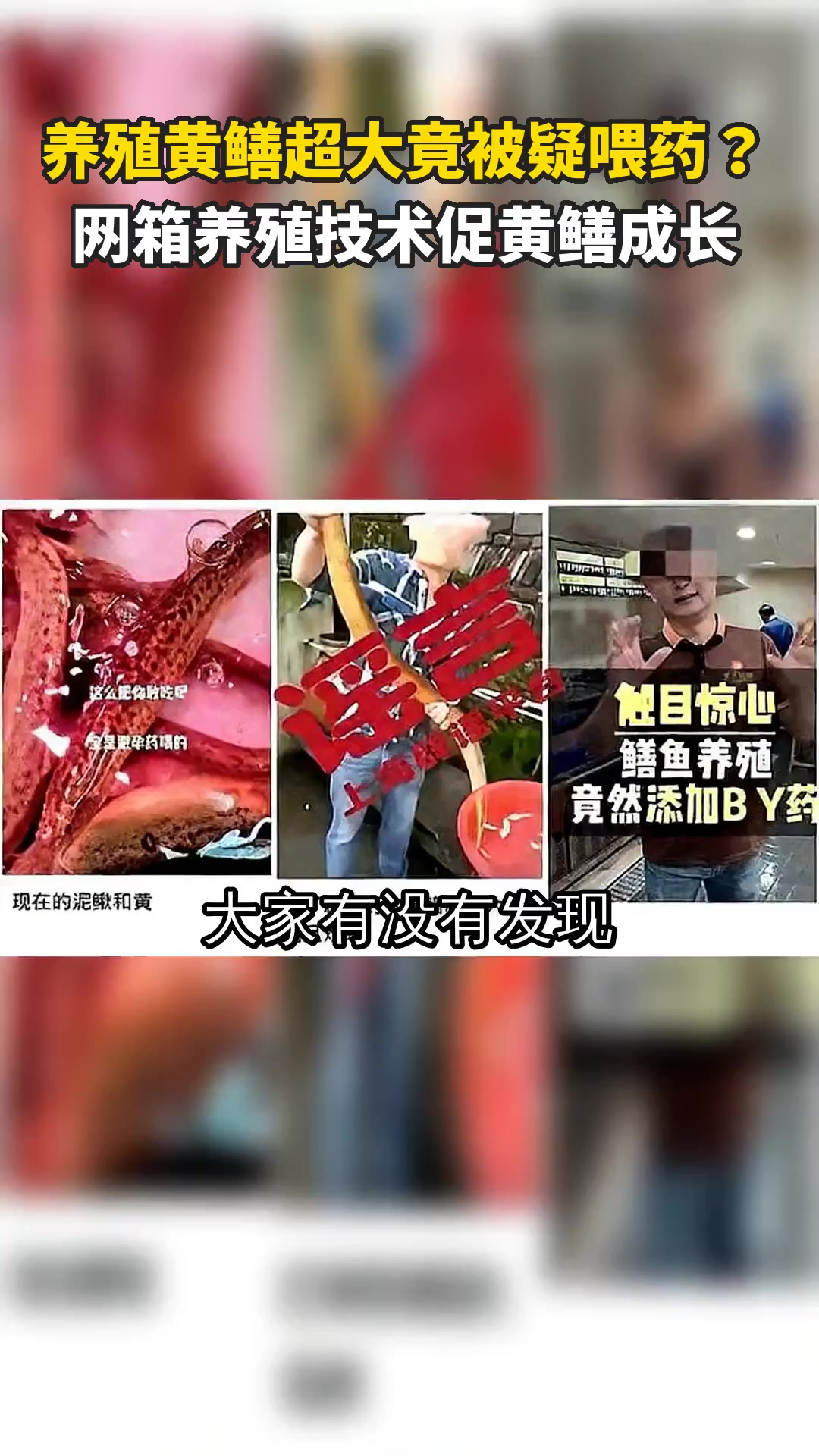 养殖黄鳝超大竟被疑喂药?网箱养殖技术促黄鳝成长