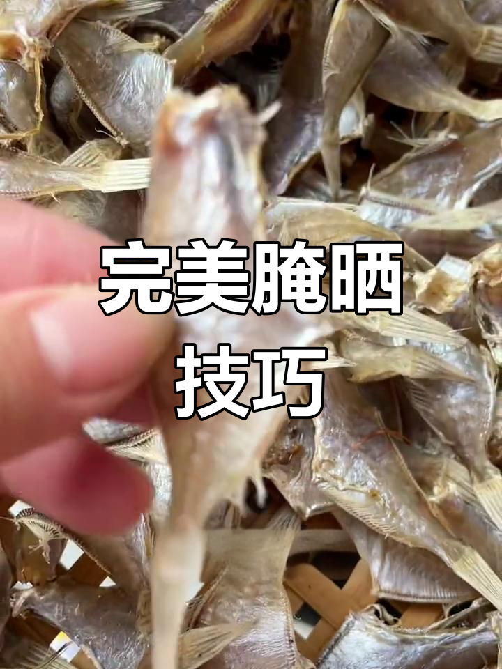 淡晒迪仔鱼干,去头去皮腌制后晾晒,味道恰到好处