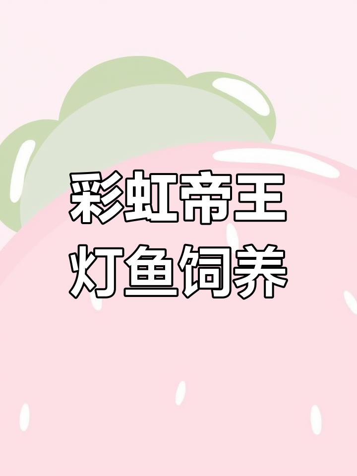 彩虹帝王灯鱼饲养指南:如何打造适合的环境