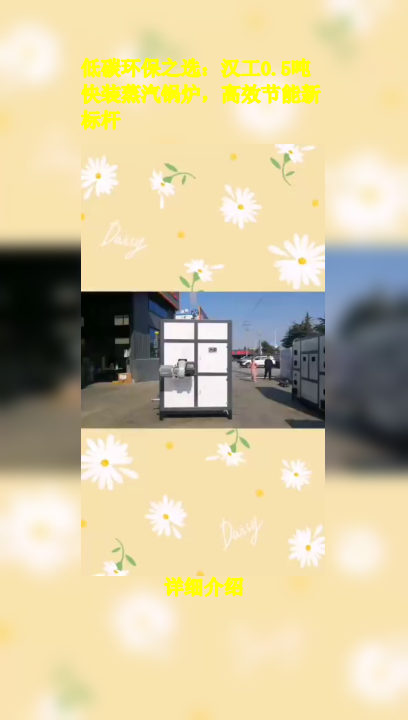 低碳环保之选:汉工0.5吨快装蒸汽锅炉,高效节能新标杆