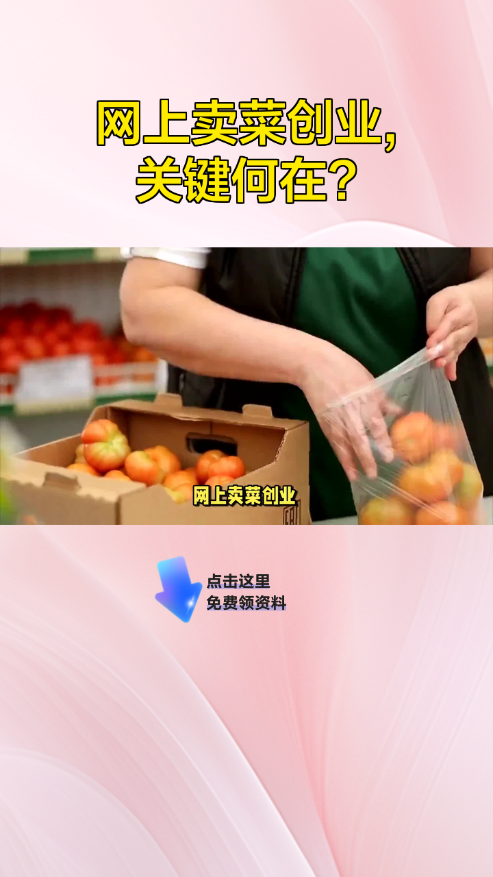 网上卖菜创业,关键何在?