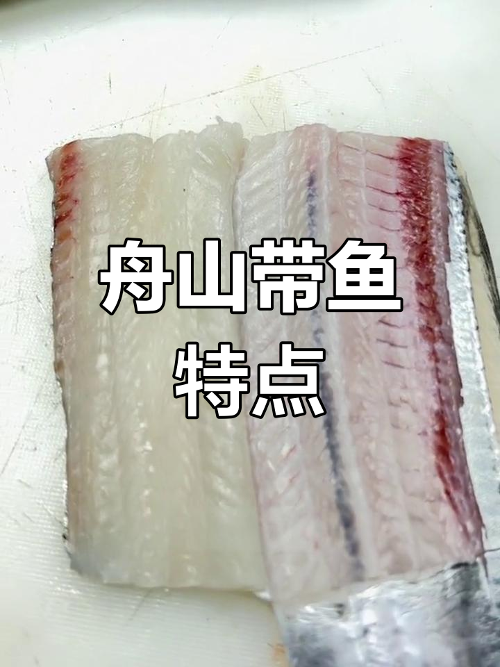 舟山带鱼与外洋带鱼的差异解析