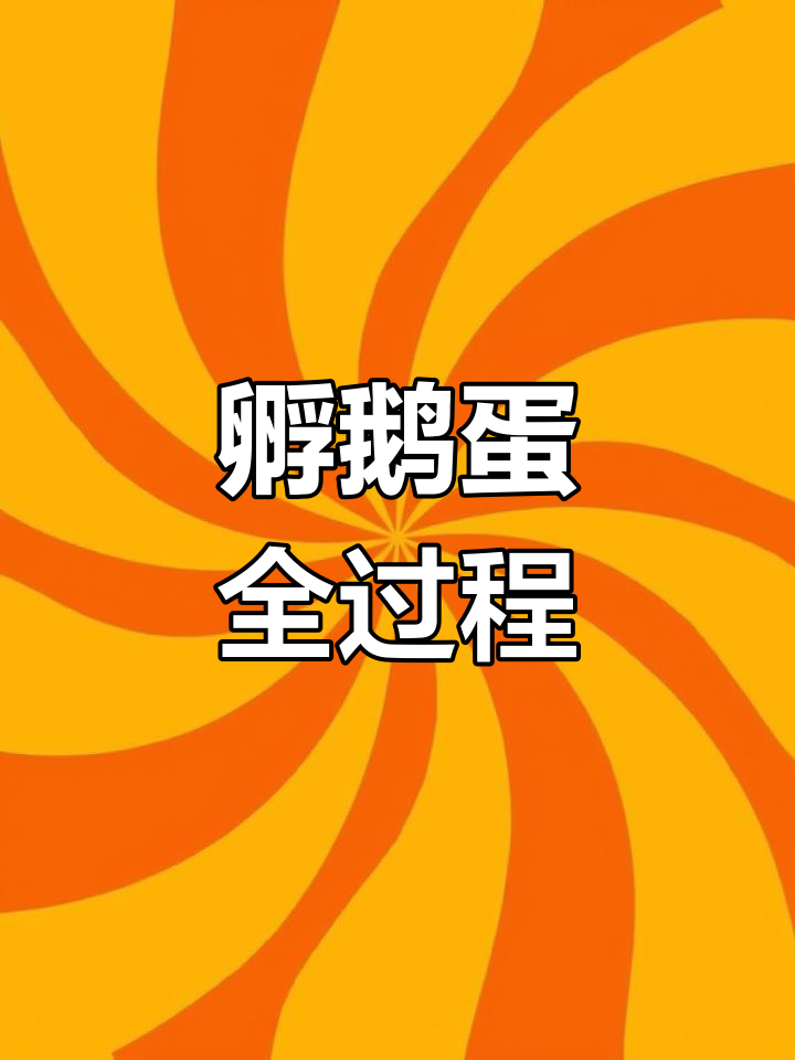 30天孵化鹅蛋,全程记录小生命的成长过程