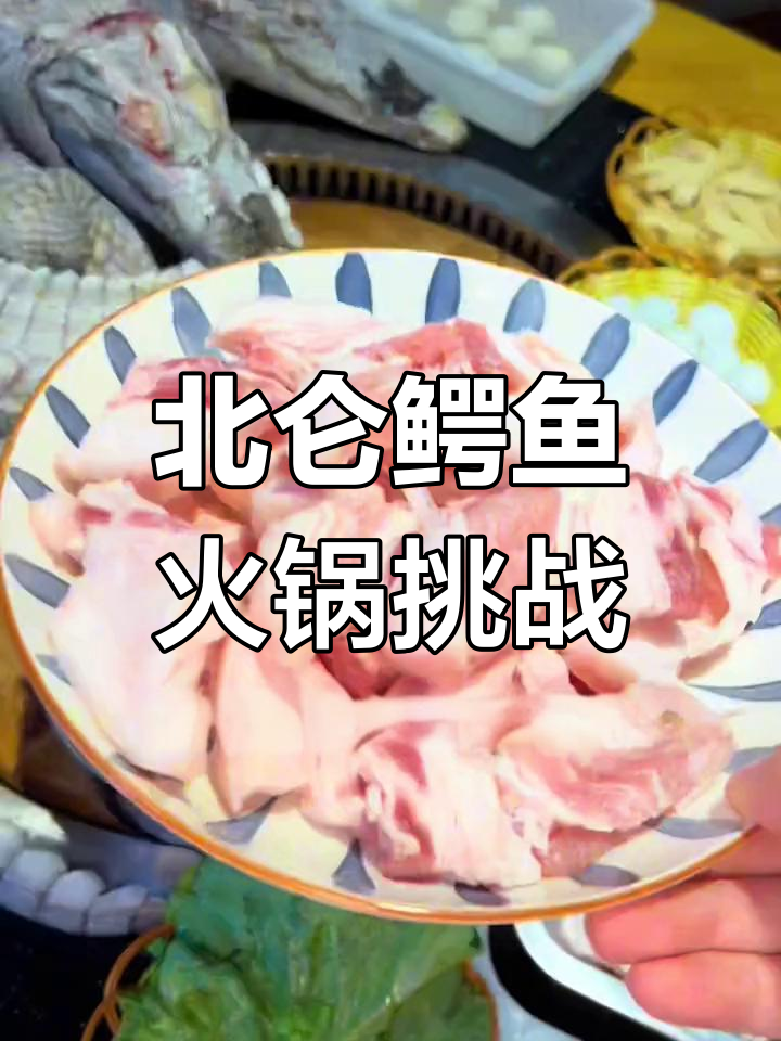 宁波北仑独特鳄鱼肉,搭配五花肉炖出美味土灶台