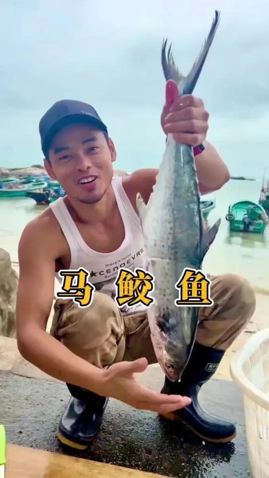 浪越大鱼越贵,年货伴手礼,香煎马鲛鱼