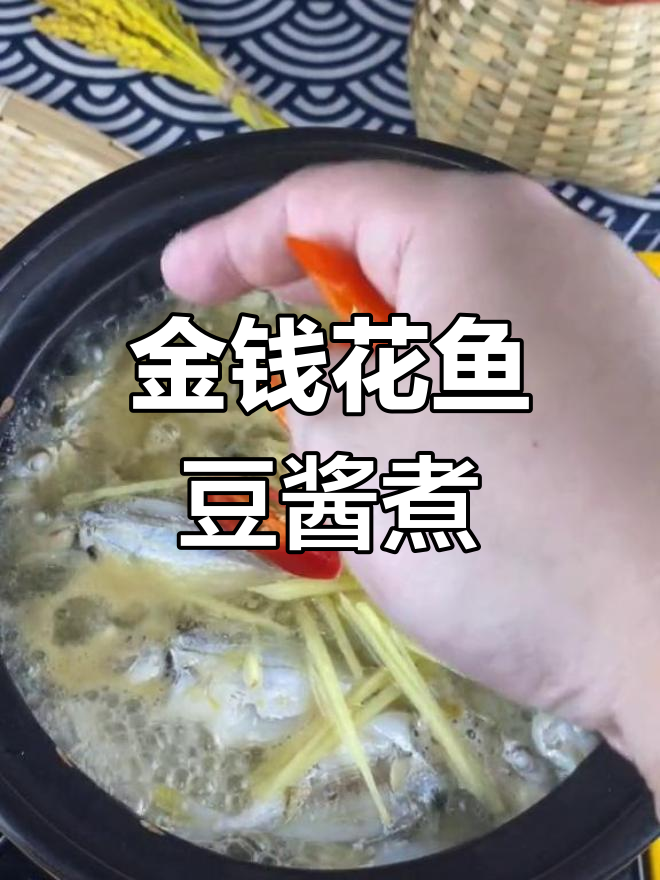 潮汕金钱花鱼,豆酱水煮鲜美至极