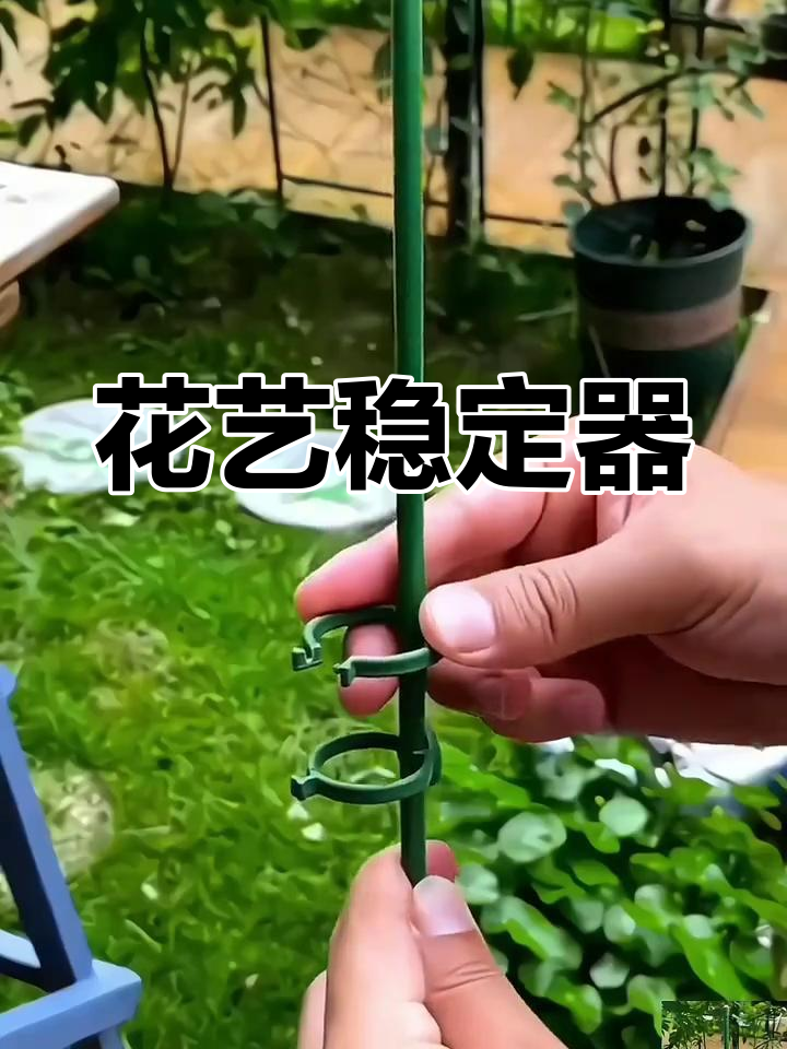 园艺必备,支撑杆防倒伏,稳固兰花与大型植物
