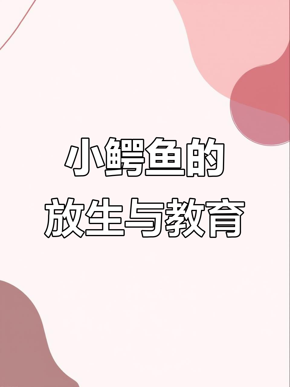 放生小鳄鱼,结果被送动物园学习“道法”