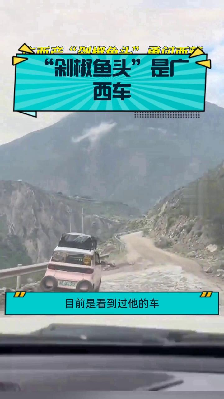 “剁椒鱼头”是广西车