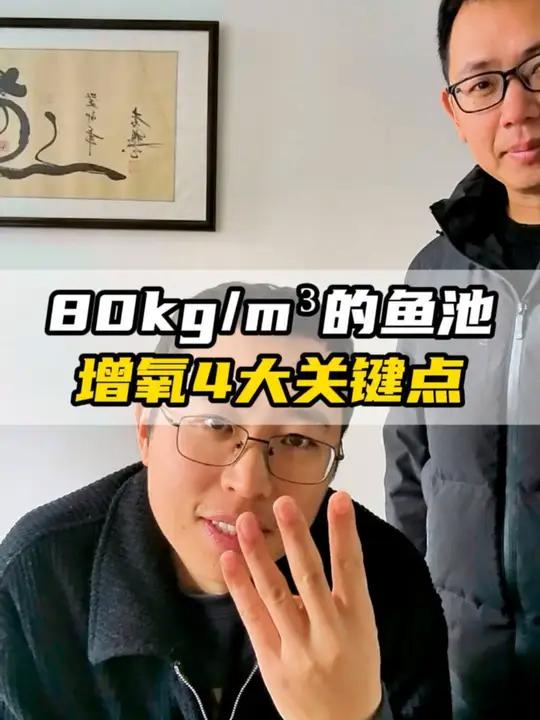 80kg/m的鱼池,增氧4大关键点!