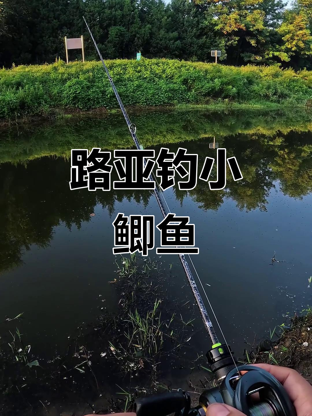 微物路亚钓鲫鱼,小鱼多但大鱼难求