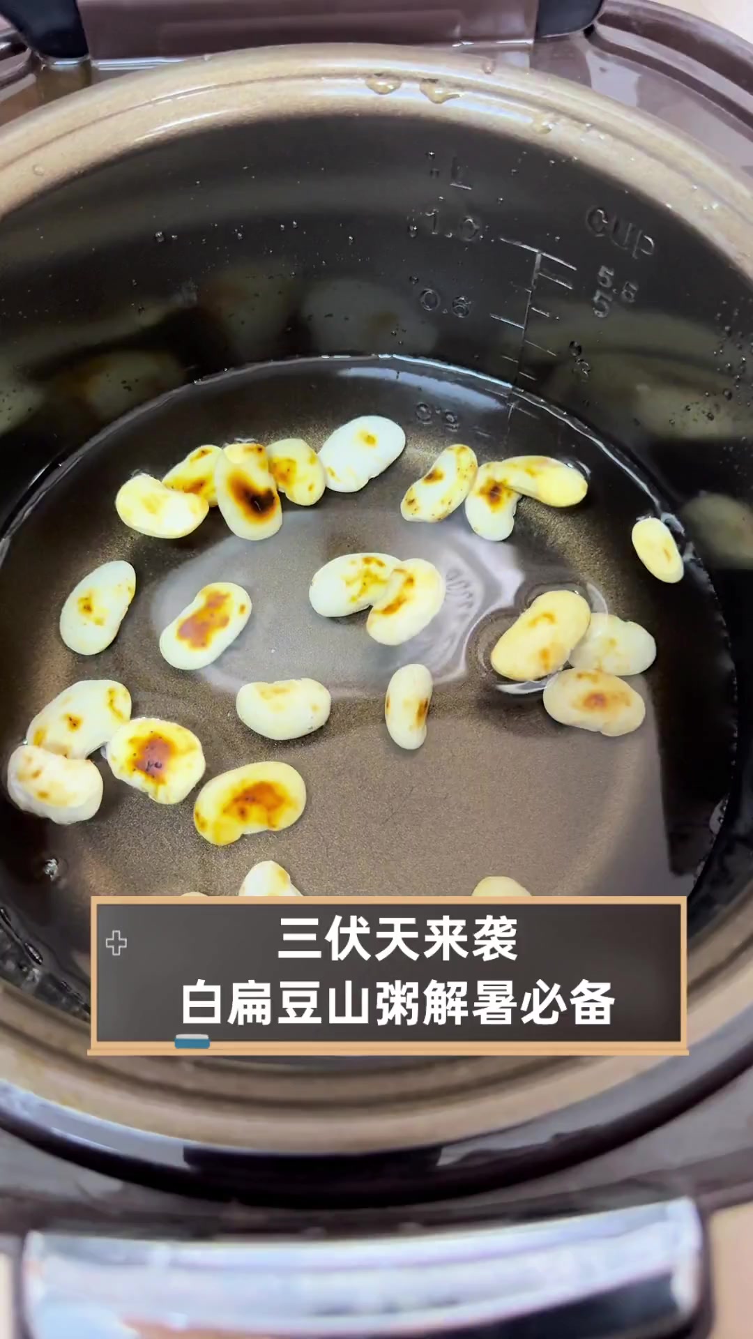 三伏天来袭,白扁豆山粥解暑必备