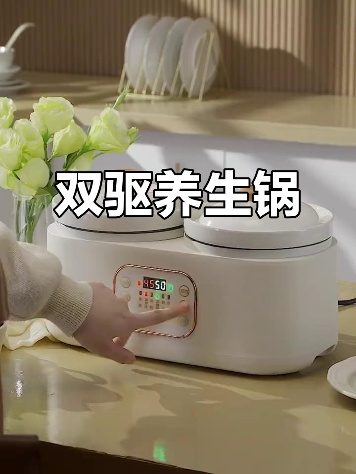 双胆陶瓷电炖锅,蒸饭煲汤两不误