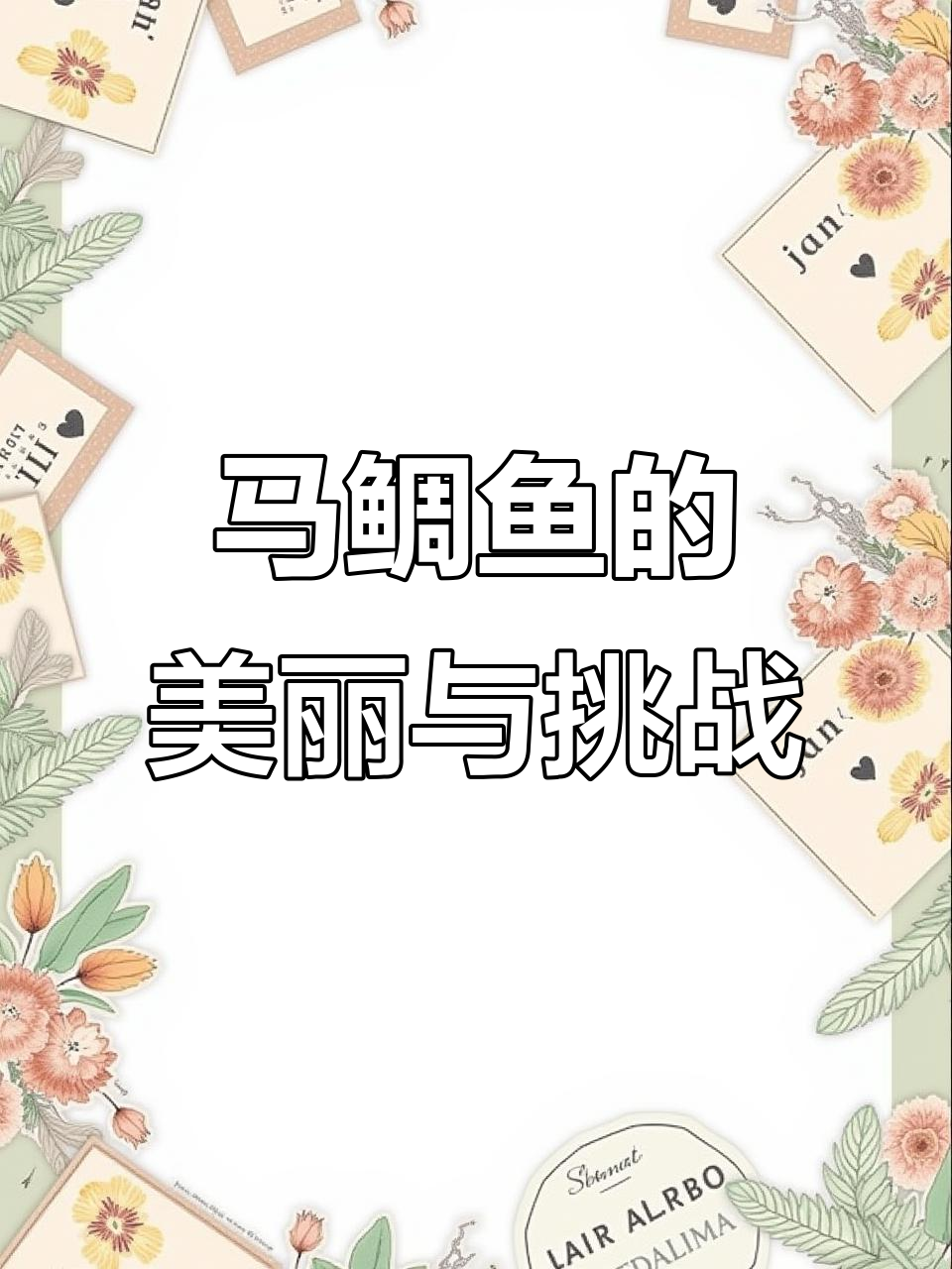 色彩斑斓的热带马鲷鱼,饲养难度三颗星