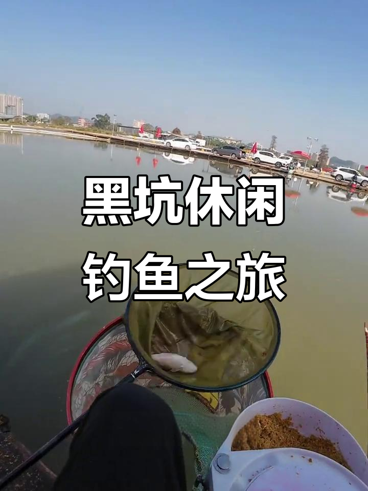 虎门宏海钓鱼场软骨鲫鱼体验,轻松钓获二十斤