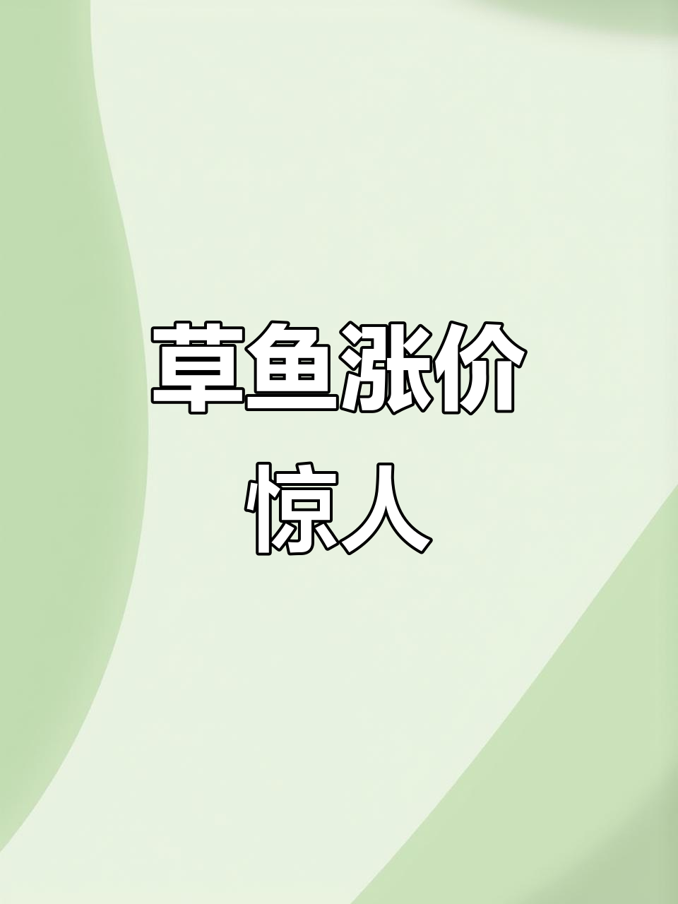 草鱼青鱼价格暴涨,市场抢购热潮来袭