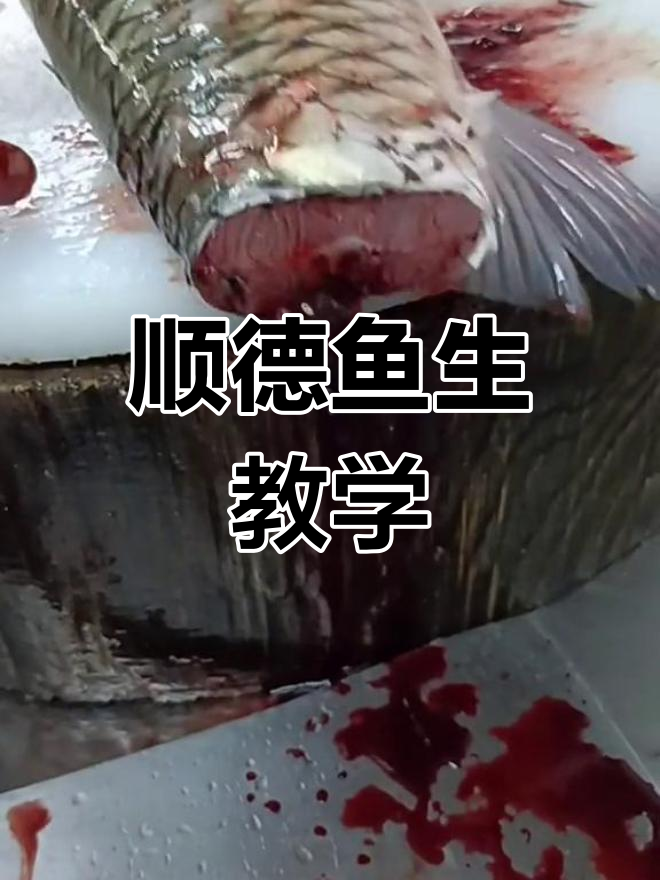 顺德鱼生放血技巧,轻松掌握
