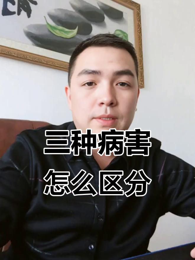 青枯病、立枯病与枯萎病的区别,如何防治?