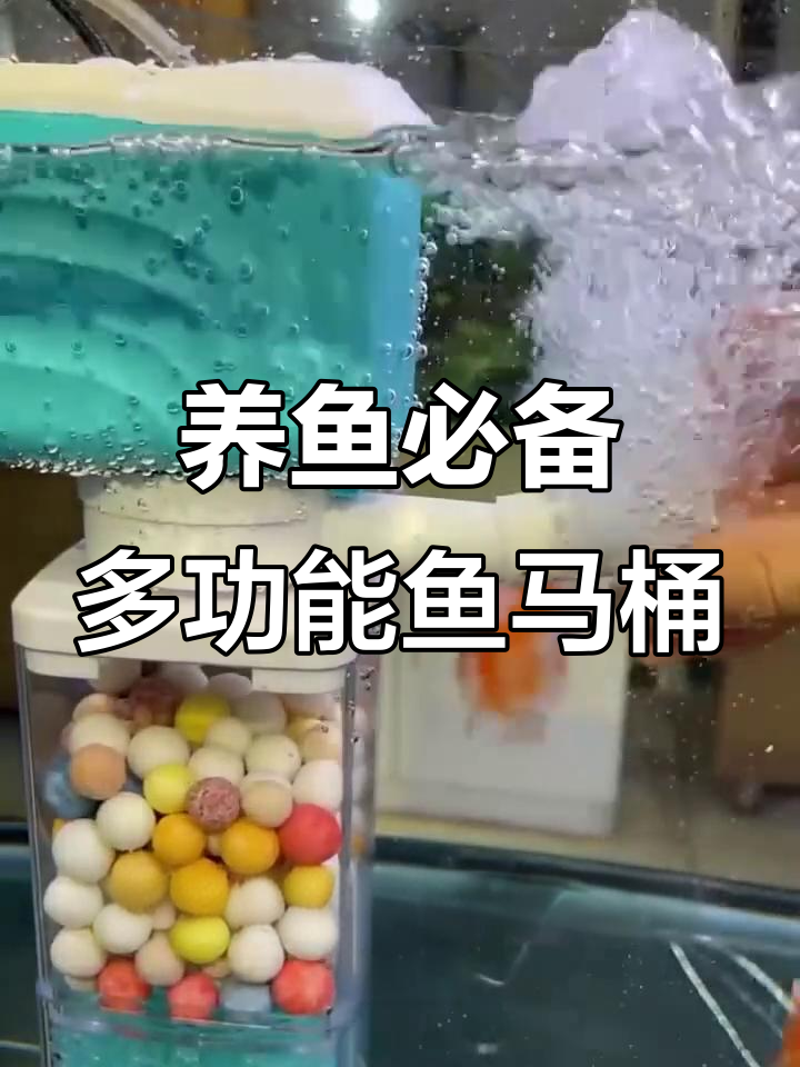 鱼马桶变神器，多功能设计让你省钱又省心