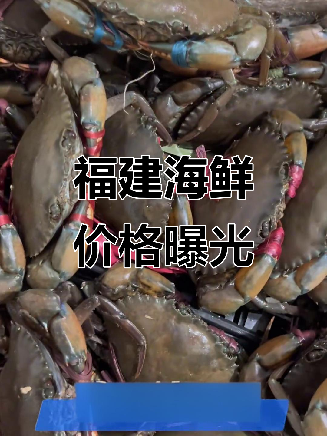 福建海鲜大揭秘:龙胆石斑鱼、红膏蟹、黑虎虾一网打尽