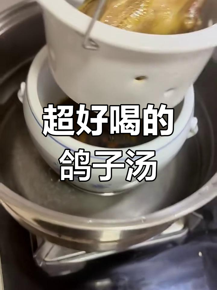 炖鸽子汤,味道太赞了!
