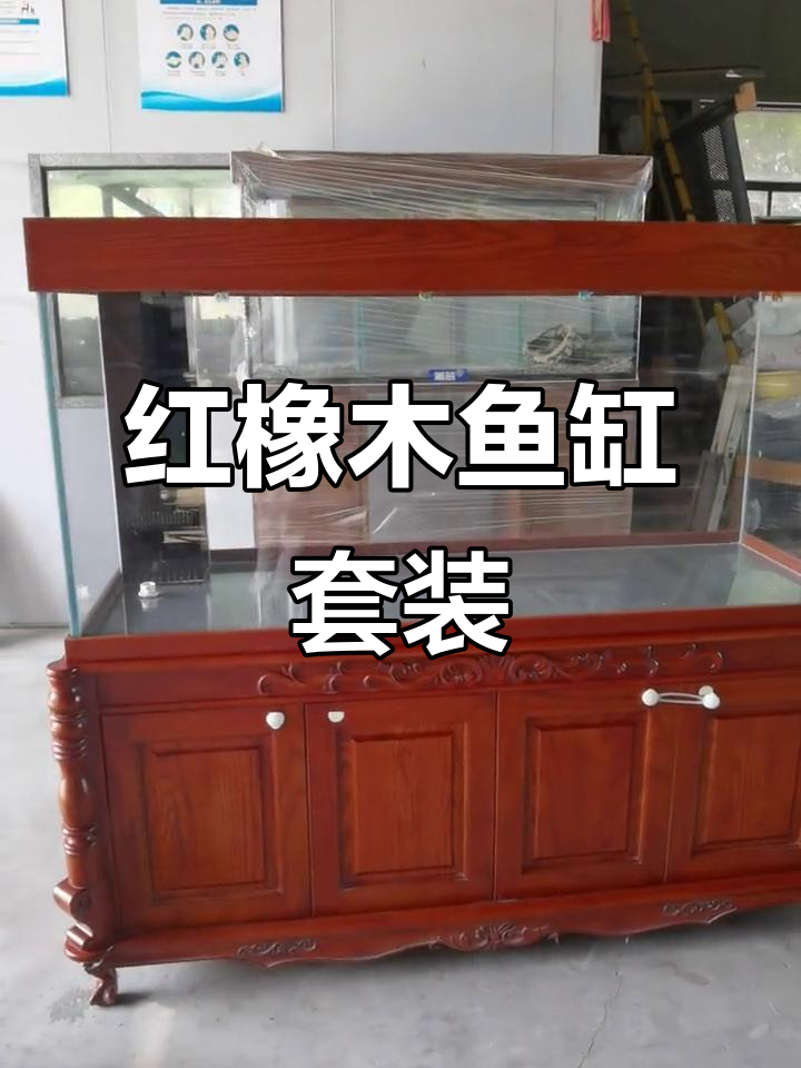 红橡木柜子搭配鱼缸，样品展示全新设计