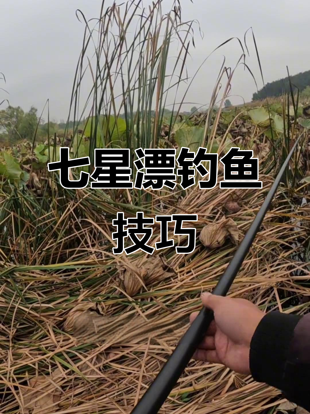 传统钓七星漂技巧:打窝子、找鱼,轻松钓鱼