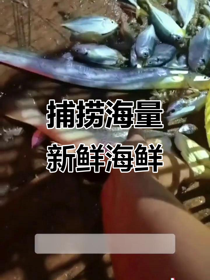 台风后海鲜大丰收,各种美味一网打尽
