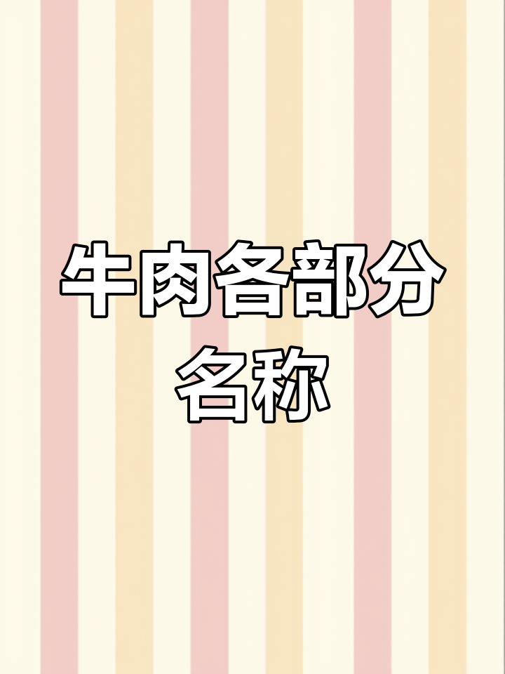 牛肉部位全解析:不同种类与口感