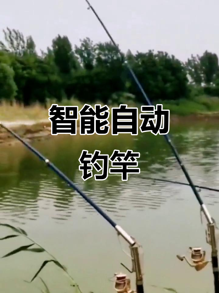 自动钓鱼杆,轻松捕鱼不费力