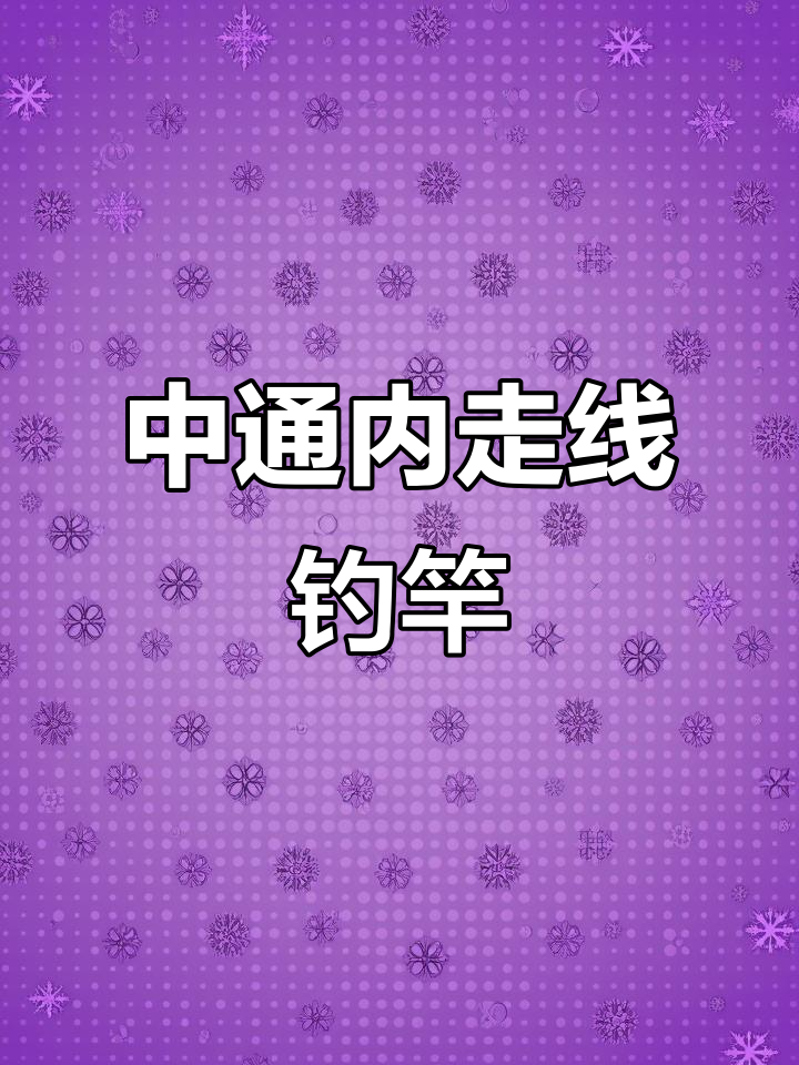 2024中通内走线鱼竿,钓鱼必备新装备