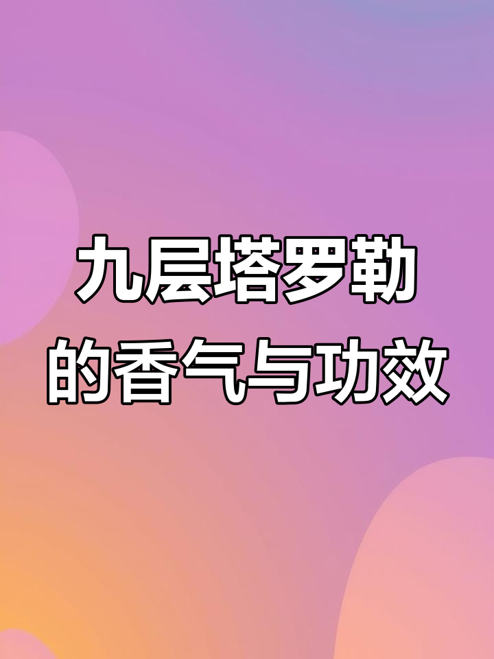 罗勒:香草之王,意大利菜中的秘密武器