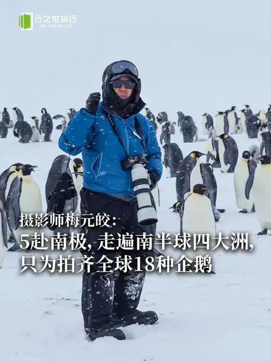 摄影师梅元皎,5次前往南极,走遍了南半球的四大洲,只为了将全球18种企鹅全部拍齐 . 20