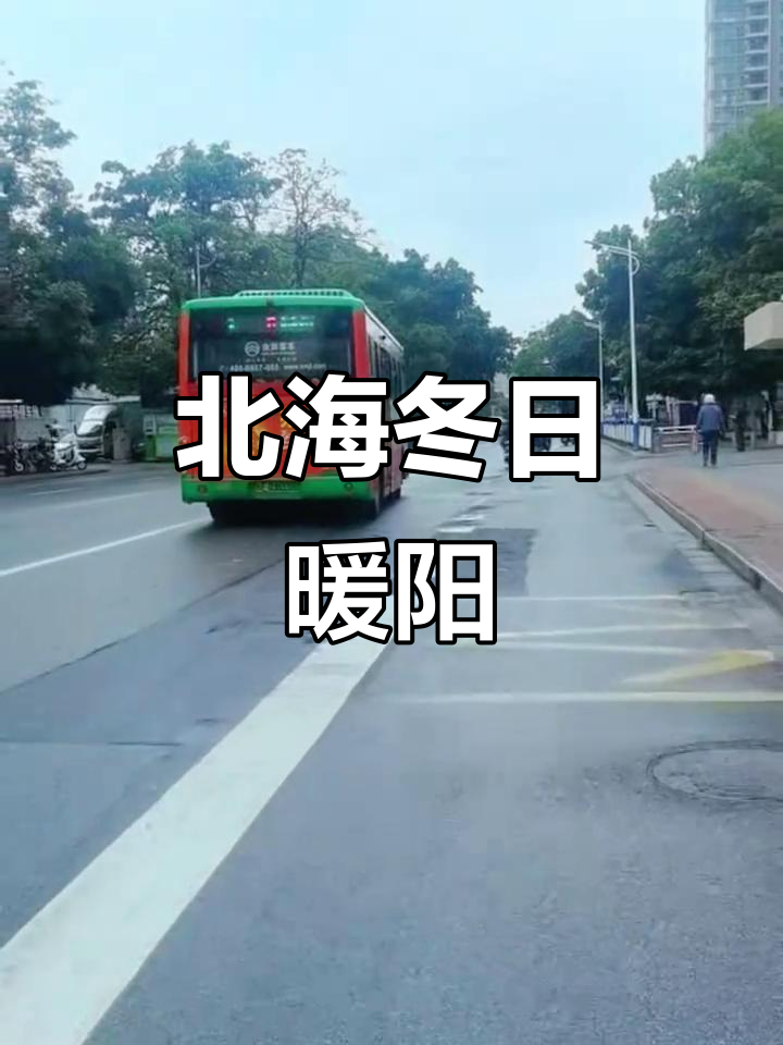 11月5日北海冬季温暖如春,秋雨后气温回升