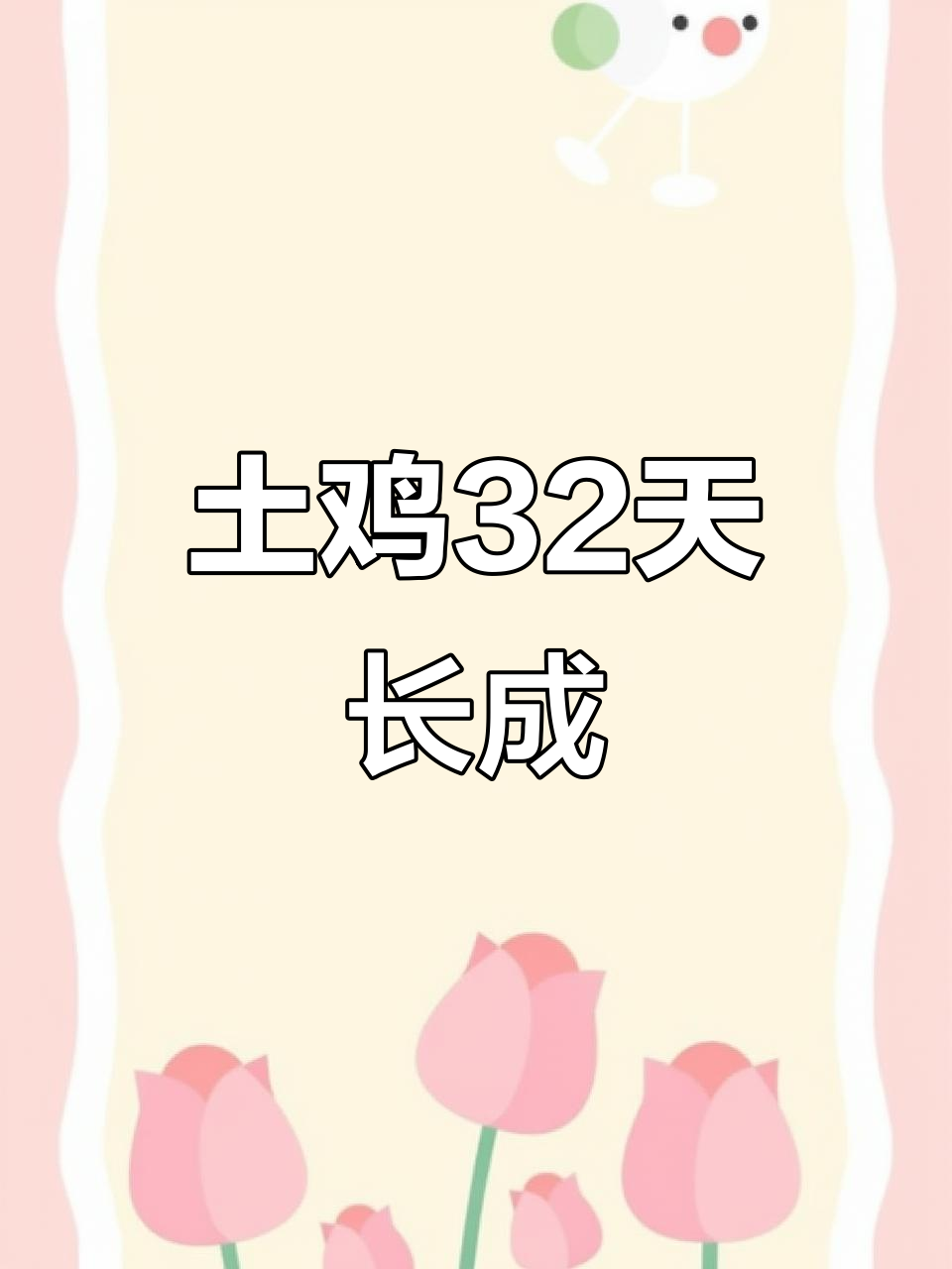 芦花鸡与贵妃鸡成长记:从破壳到32天,变化惊人