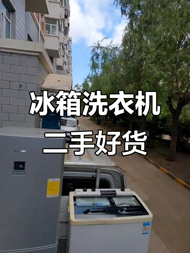 三星冰箱+小鸭洗衣机,干净如新,速来建明小区看货