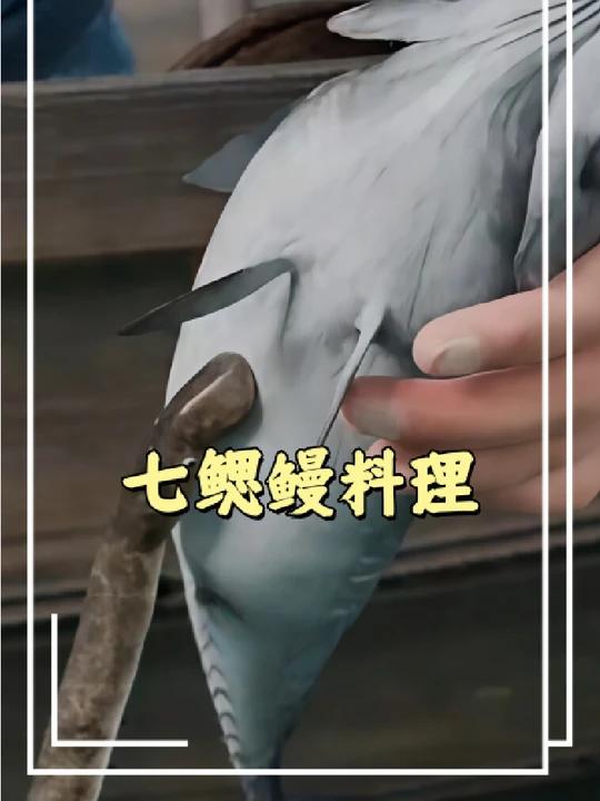 七鳃鳗料理