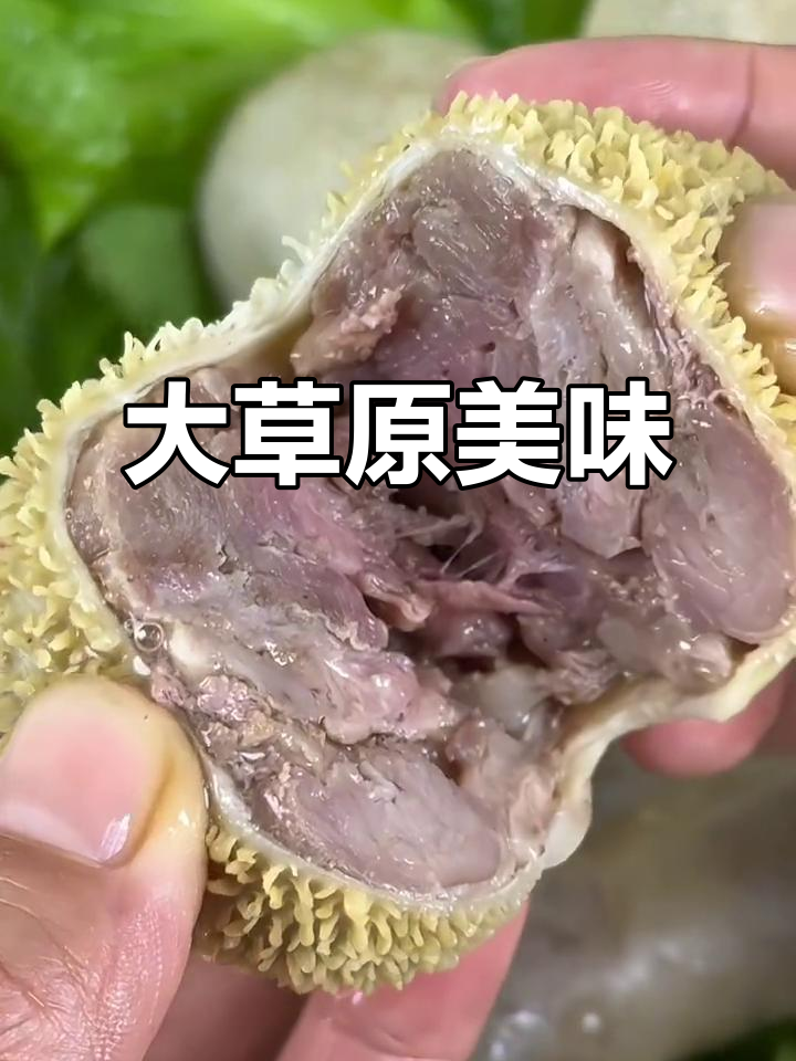 草原风味,羊肠包肉煮一小时,香气扑鼻!