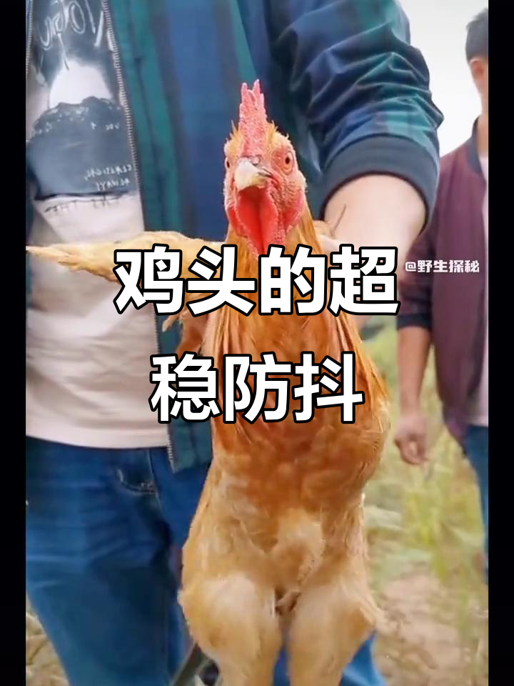 鸡头防抖比任何稳定器都强,竟然是这样实现的!