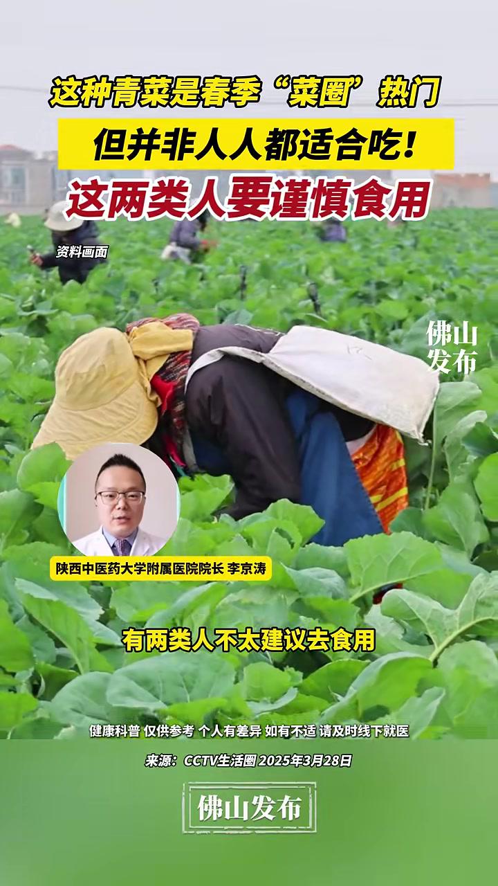 这种青菜是春季“菜圈”热门,但并非人人都适合吃!这两类人要谨慎食用。(编辑:李键昕;责编: