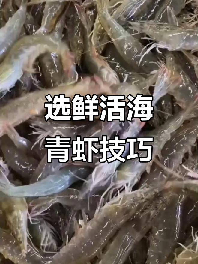 如何挑选新鲜海青虾?颜色和皮子硬实是关键