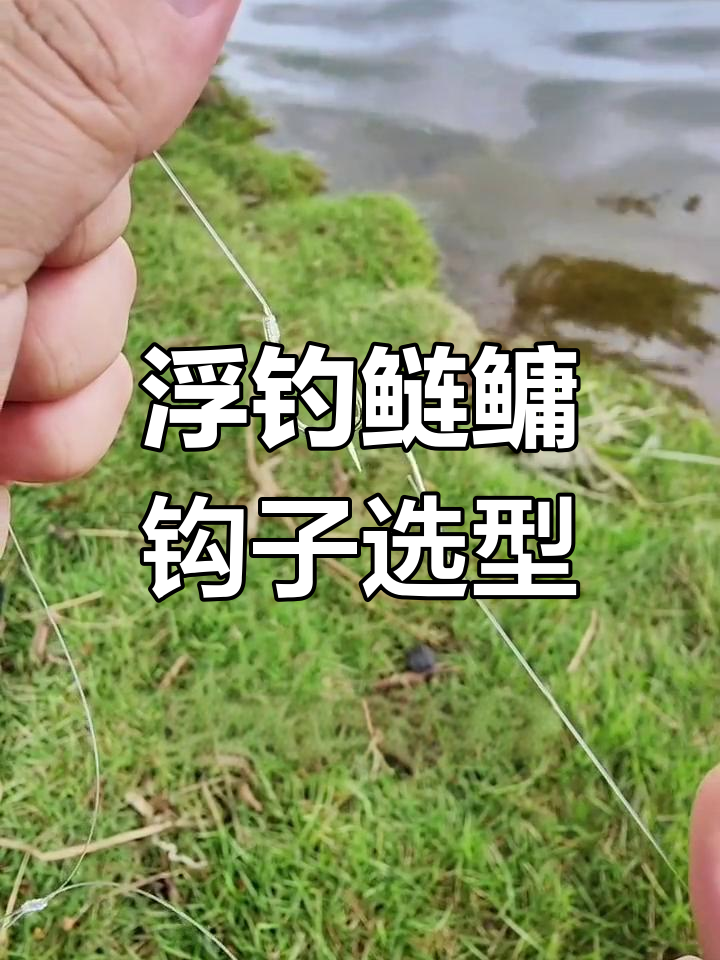 钓鲢鳙鱼钩选择指南:从四号到六号的完美搭配