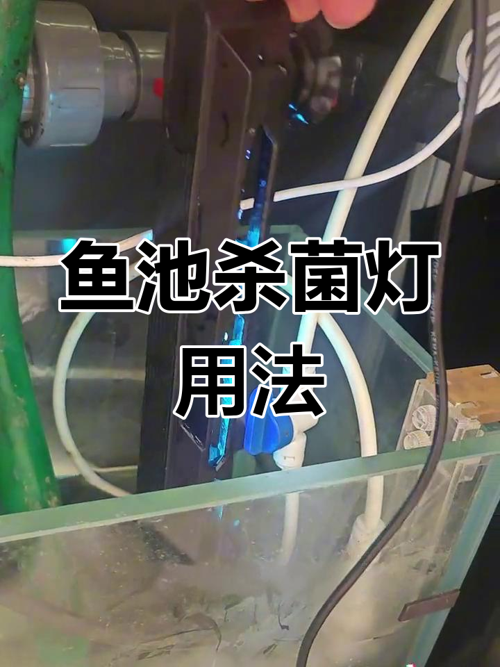 鱼缸杀菌灯使用指南:如何正确放置与定时