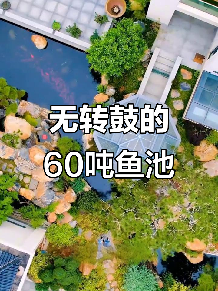 江苏南通花园鱼池,60吨水体轻松过滤无转鼓