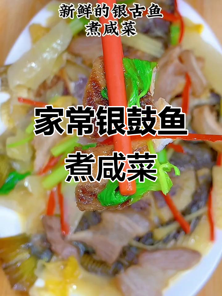 潮汕银鼓鱼煮咸菜，鲜甜美味家常做法